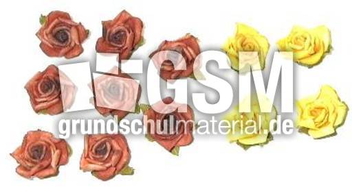Blumen8+4.jpg